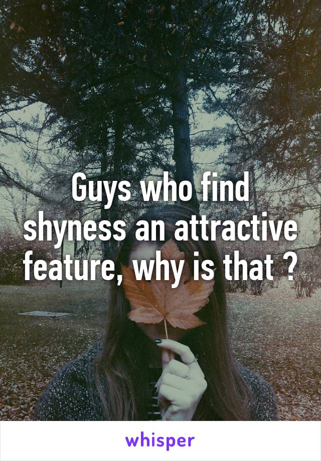 Guys who find shyness an attractive feature, why is that ?