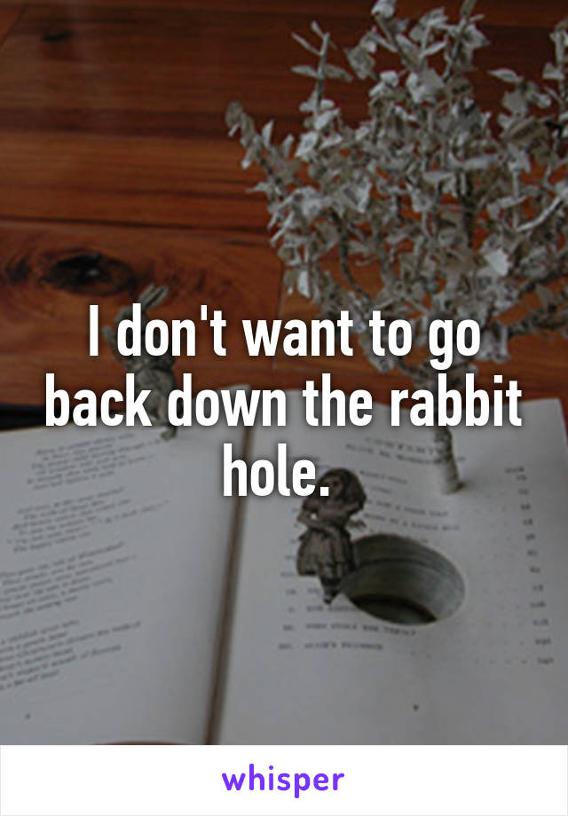 I don't want to go back down the rabbit hole. 