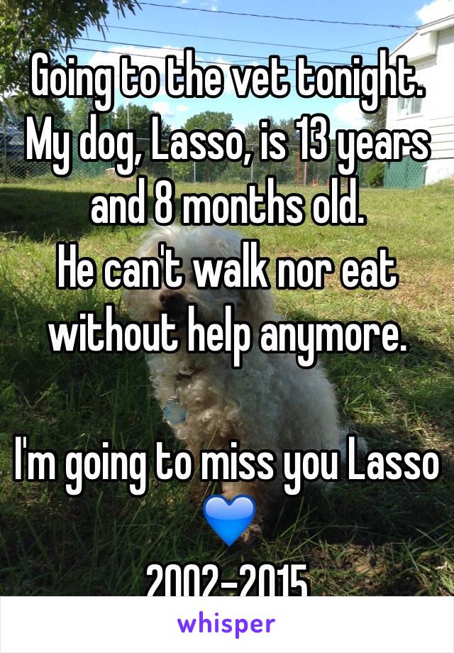 Going to the vet tonight. My dog, Lasso, is 13 years and 8 months old. 
He can't walk nor eat without help anymore.

I'm going to miss you Lasso 💙
2002-2015