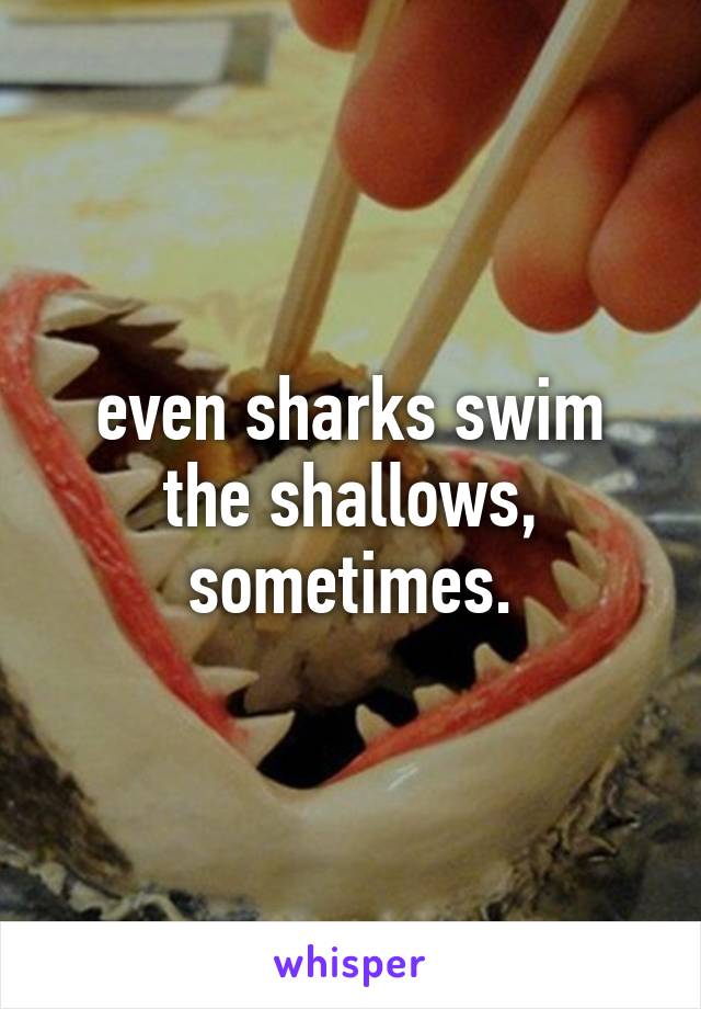 even sharks swim the shallows, sometimes.