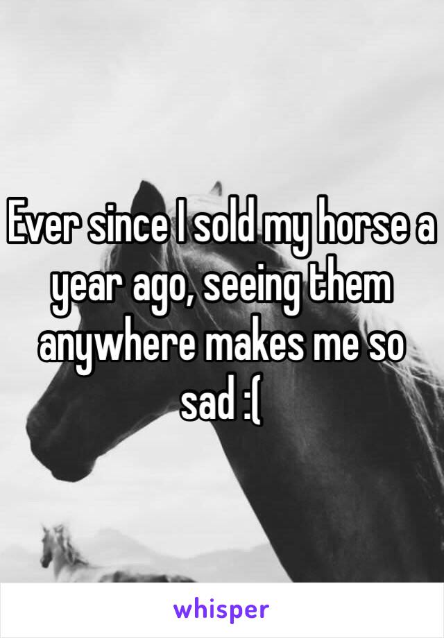 Ever since I sold my horse a year ago, seeing them anywhere makes me so sad :( 