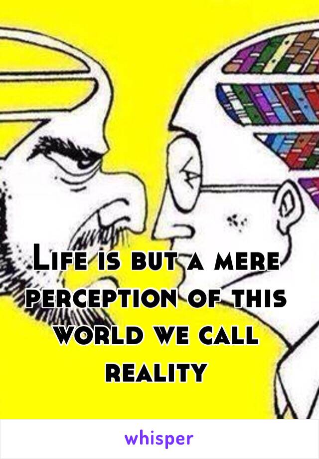 Life is but a mere perception of this world we call reality