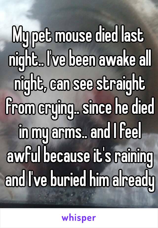 My pet mouse died last night.. I've been awake all night, can see straight from crying.. since he died in my arms.. and I feel awful because it's raining and I've buried him already