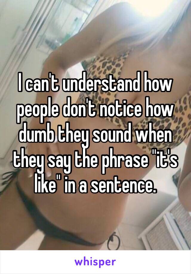 I can't understand how people don't notice how dumb they sound when they say the phrase "it's like" in a sentence. 