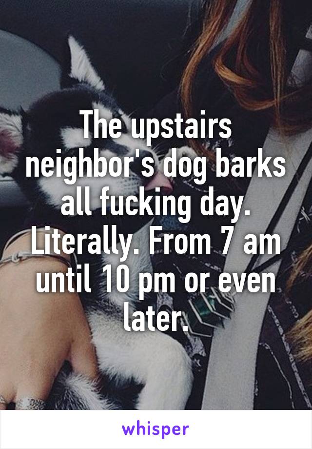 The upstairs neighbor's dog barks all fucking day. Literally. From 7 am until 10 pm or even later.