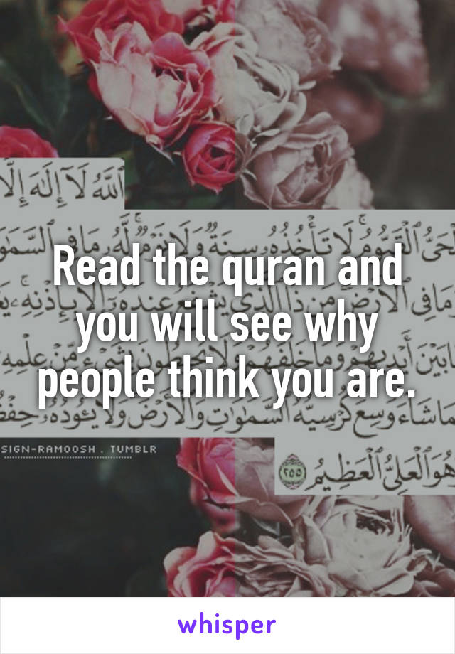 Read the quran and you will see why people think you are.