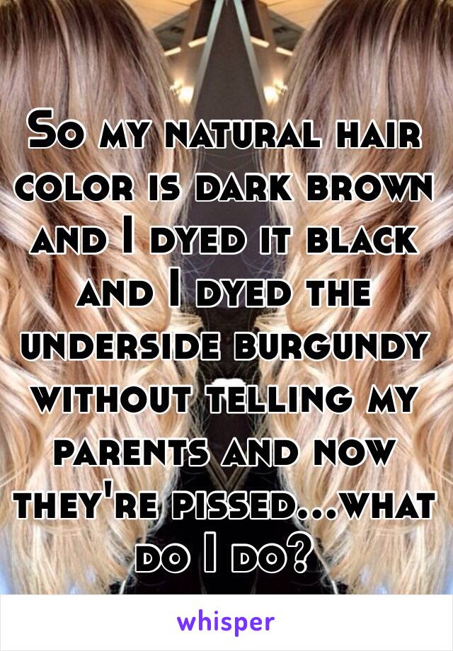 So my natural hair color is dark brown and I dyed it black  and I dyed the underside burgundy without telling my parents and now they're pissed...what do I do?