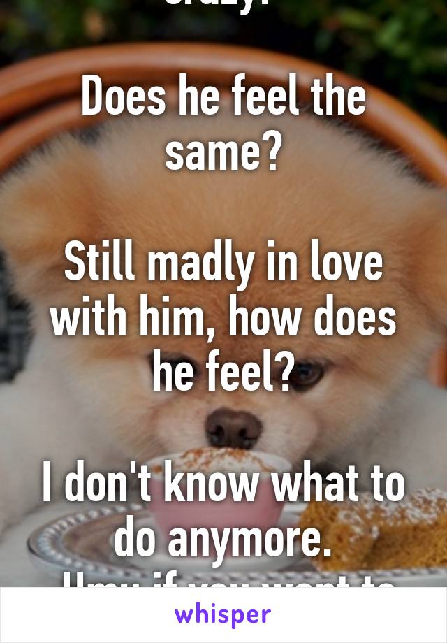 Missing him like crazy! 

Does he feel the same?

Still madly in love with him, how does he feel?

I don't know what to do anymore.
 Hmu if you want to chat!
