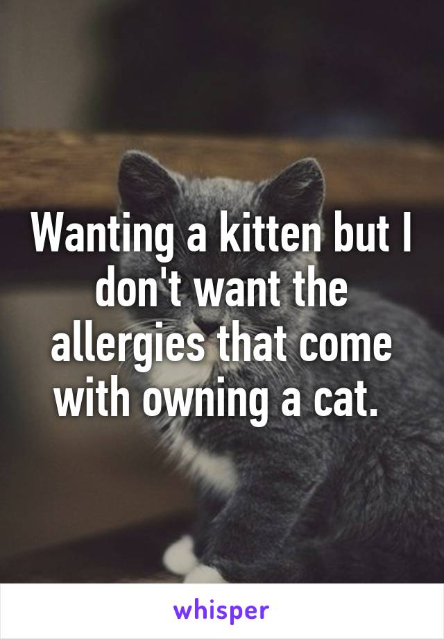 Wanting a kitten but I don't want the allergies that come with owning a cat. 