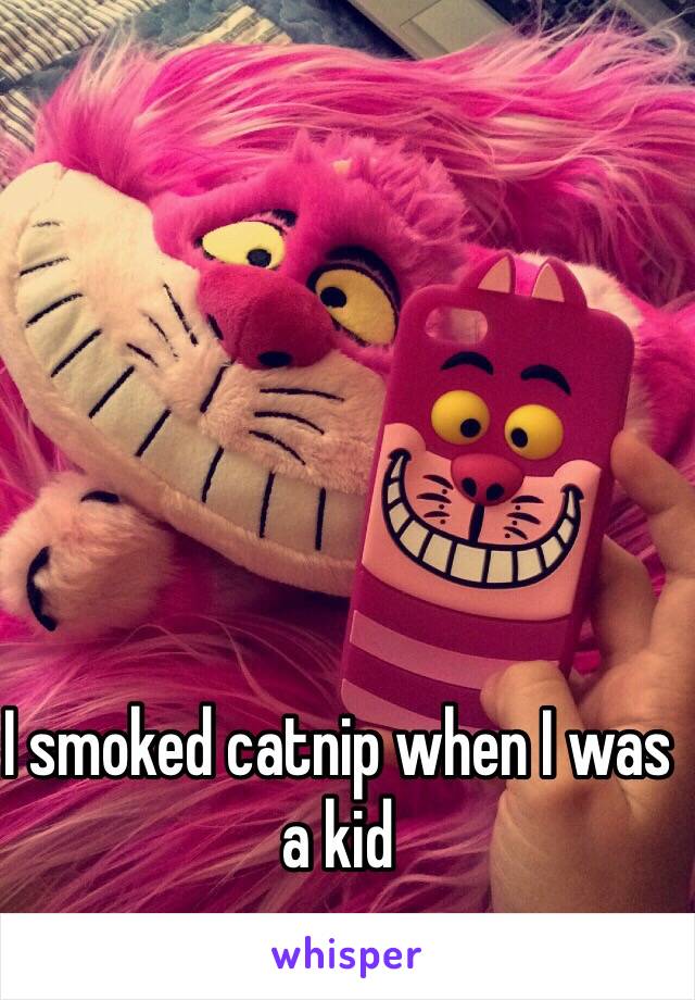 I smoked catnip when I was a kid