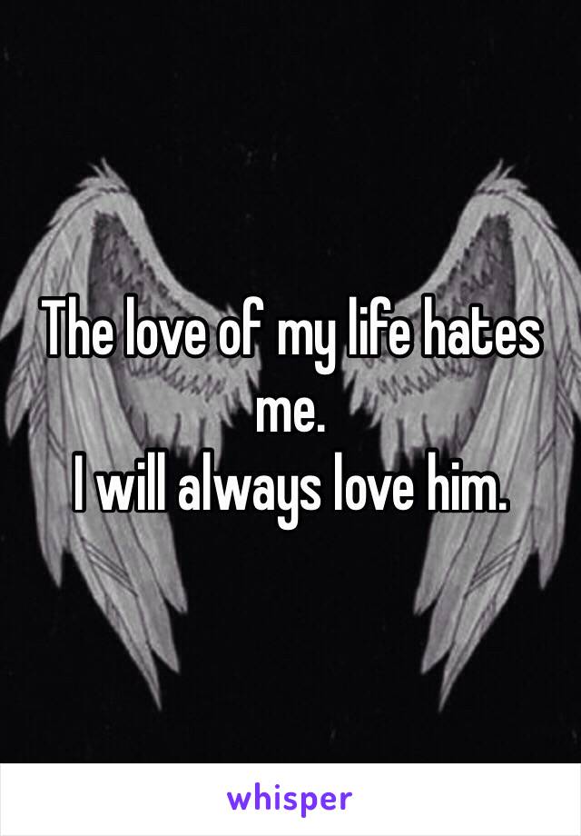 The love of my life hates me. 
I will always love him. 