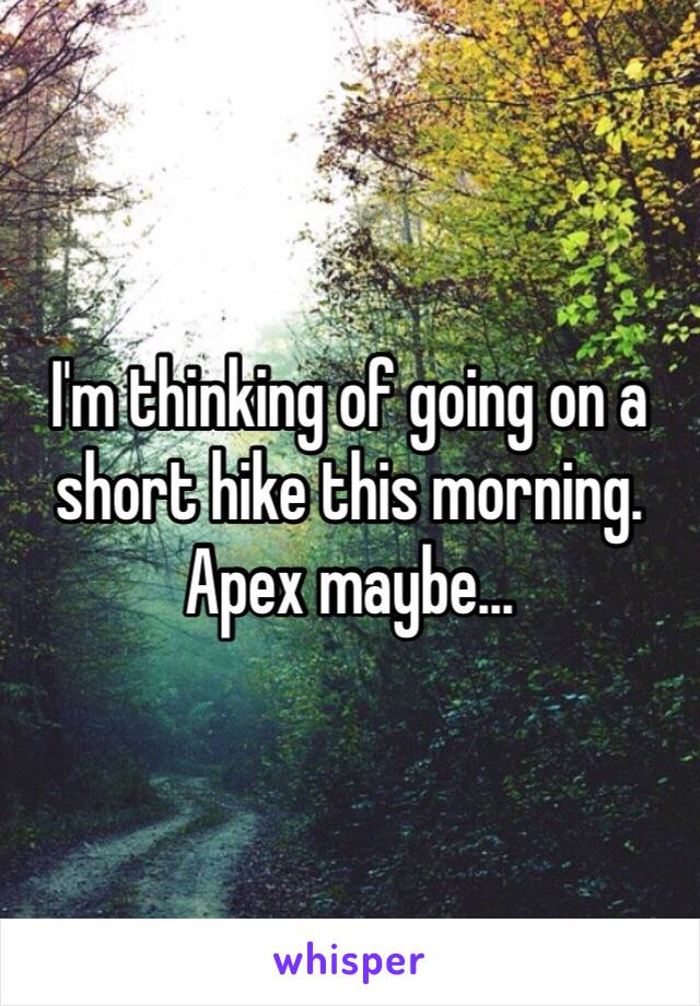 I'm thinking of going on a short hike this morning.  Apex maybe...