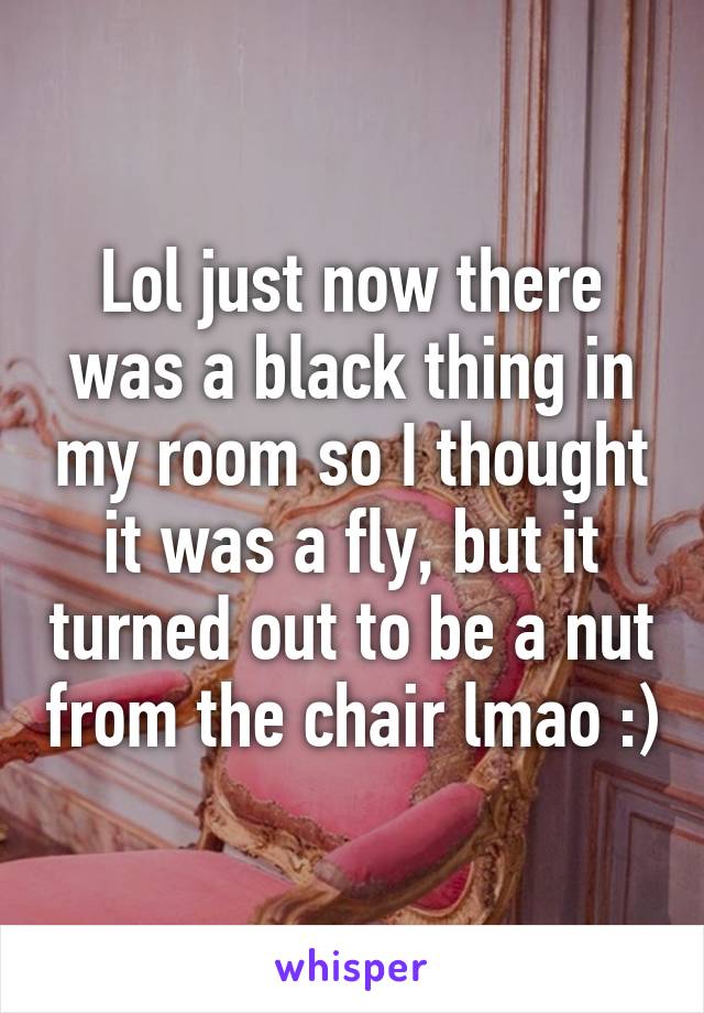 Lol just now there was a black thing in my room so I thought it was a fly, but it turned out to be a nut from the chair lmao :)