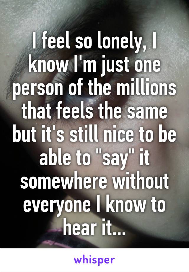 I feel so lonely, I know I'm just one person of the millions that feels the same but it's still nice to be able to "say" it somewhere without everyone I know to hear it...