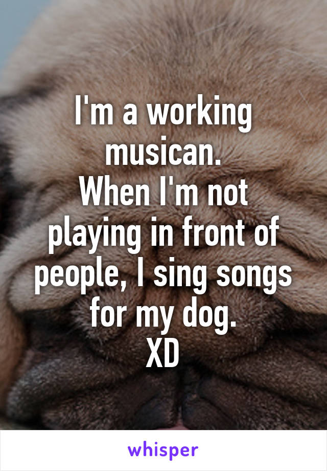 I'm a working musican.
When I'm not playing in front of people, I sing songs for my dog.
XD