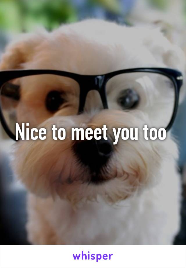 Nice to meet you too 