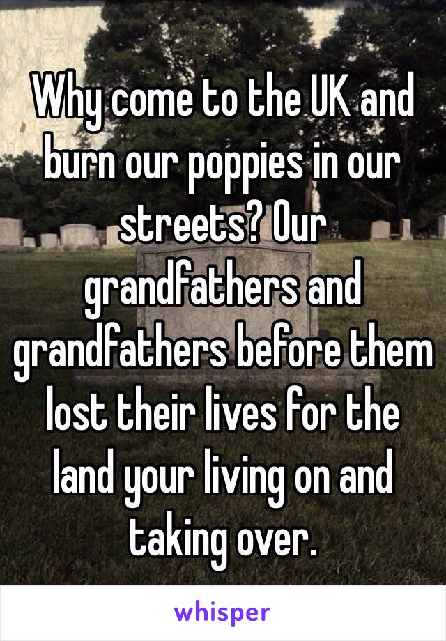 Why come to the UK and burn our poppies in our streets? Our grandfathers and grandfathers before them lost their lives for the land your living on and taking over. 