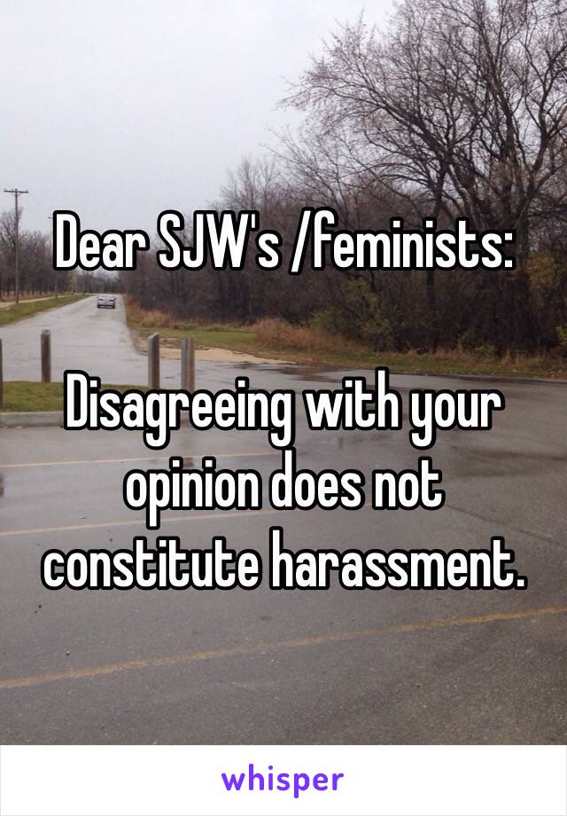 Dear SJW's /feminists:

Disagreeing with your opinion does not constitute harassment.