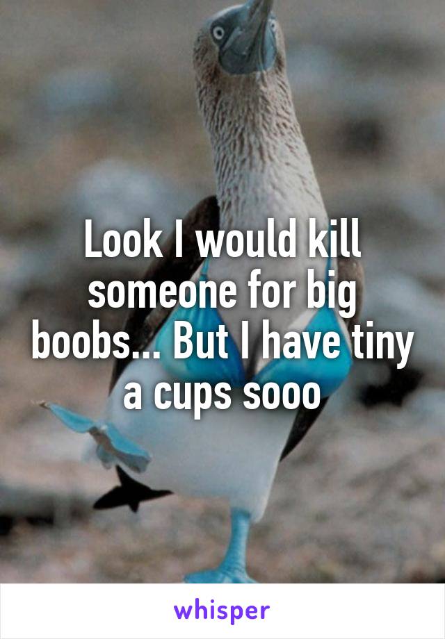 Look I would kill someone for big boobs... But I have tiny a cups sooo