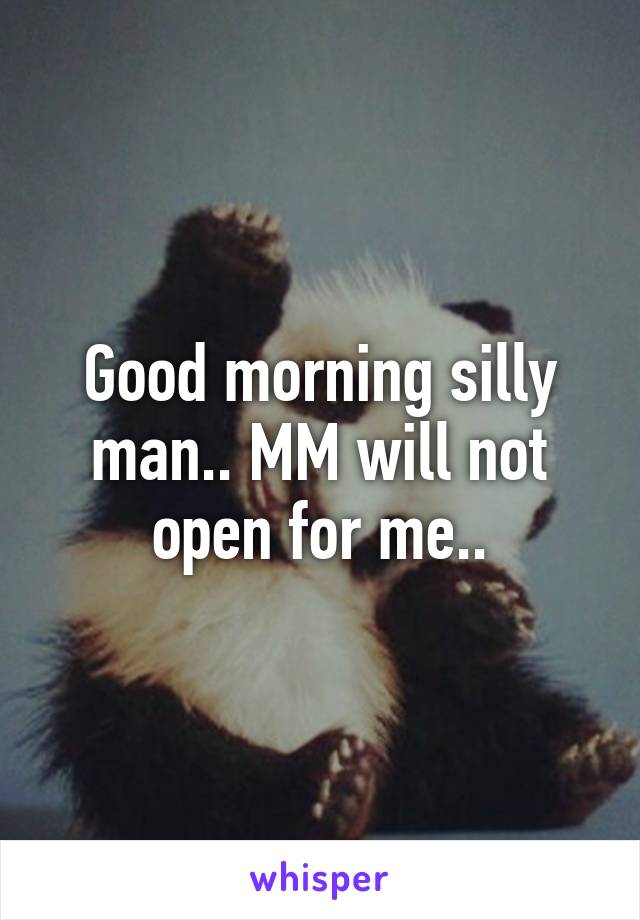 Good morning silly man.. MM will not open for me..