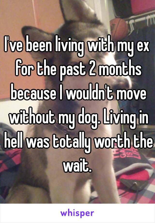 I've been living with my ex for the past 2 months because I wouldn't move without my dog. Living in hell was totally worth the wait. 