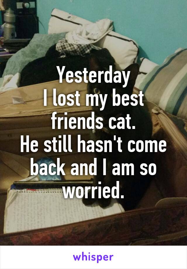 Yesterday
I lost my best friends cat.
He still hasn't come back and I am so worried.