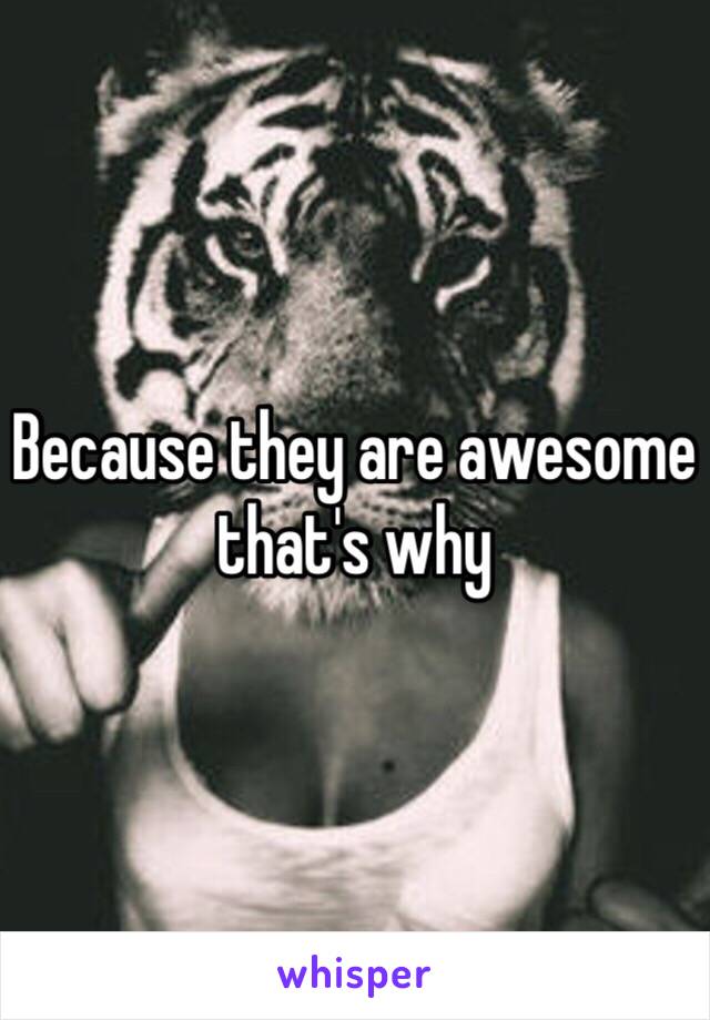 Because they are awesome that's why