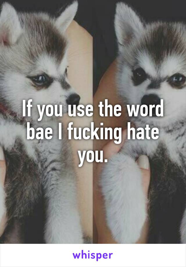 If you use the word bae I fucking hate you.