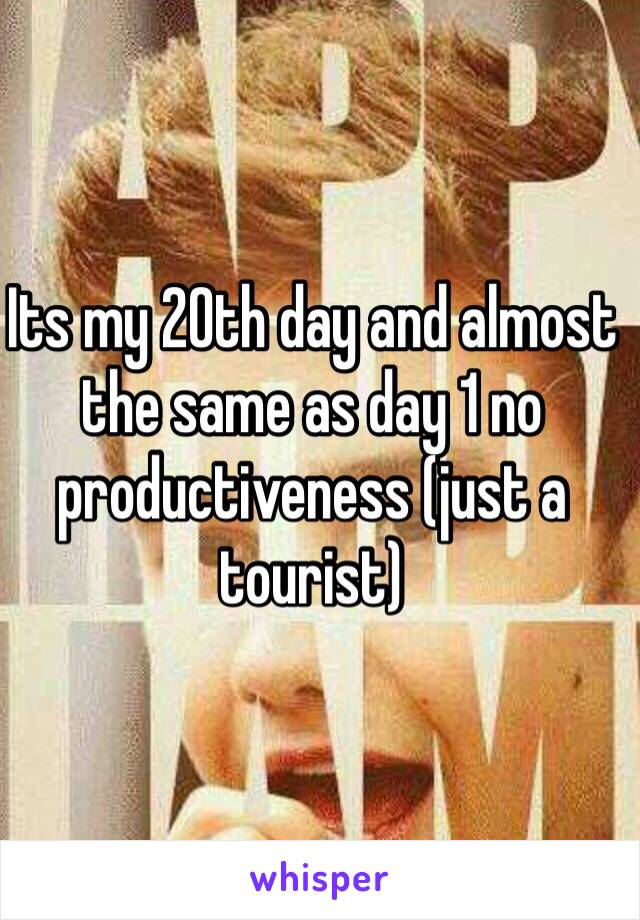 Its my 20th day and almost the same as day 1 no productiveness (just a tourist)