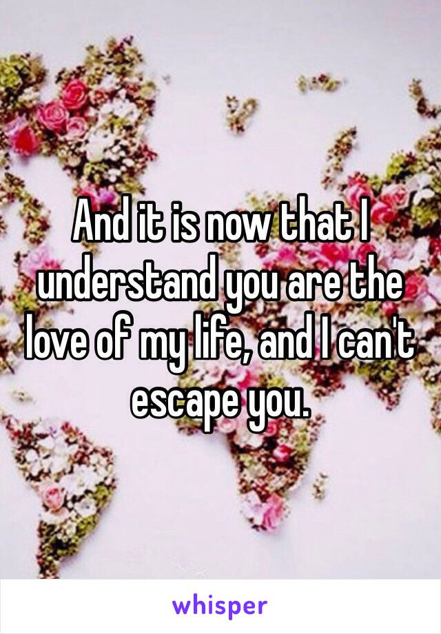 And it is now that I understand you are the love of my life, and I can't escape you.