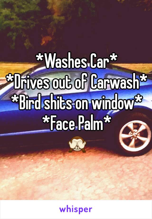 *Washes Car*
*Drives out of Carwash*
*Bird shits on window*
*Face Palm*
🙈