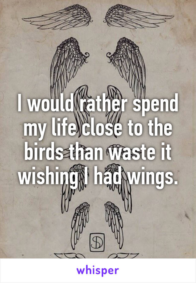 I would rather spend my life close to the birds than waste it wishing I had wings.