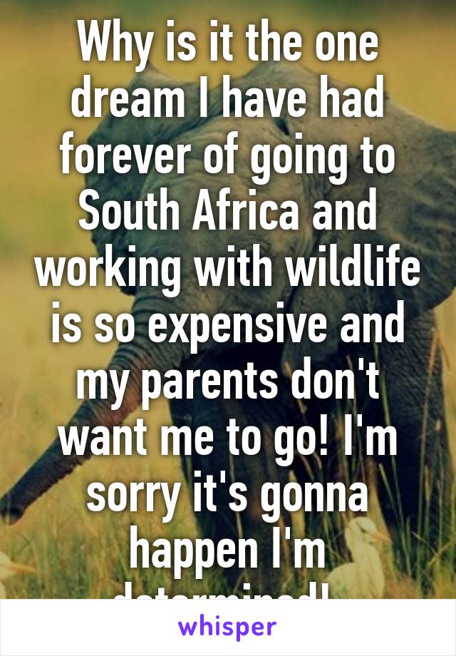 Why is it the one dream I have had forever of going to South Africa and working with wildlife is so expensive and my parents don't want me to go! I'm sorry it's gonna happen I'm determined! 