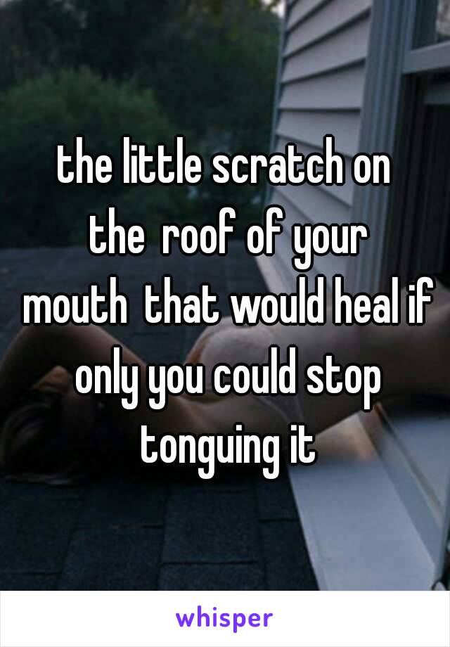 the little scratch on the roof of your mouth that would heal if only you could stop tonguing it