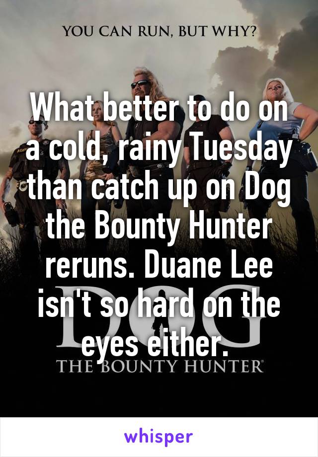 What better to do on a cold, rainy Tuesday than catch up on Dog the Bounty Hunter reruns. Duane Lee isn't so hard on the eyes either. 