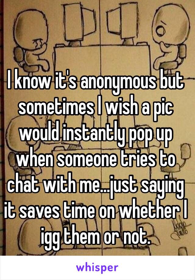 I know it's anonymous but sometimes I wish a pic would instantly pop up when someone tries to chat with me...just saying it saves time on whether I igg them or not. 