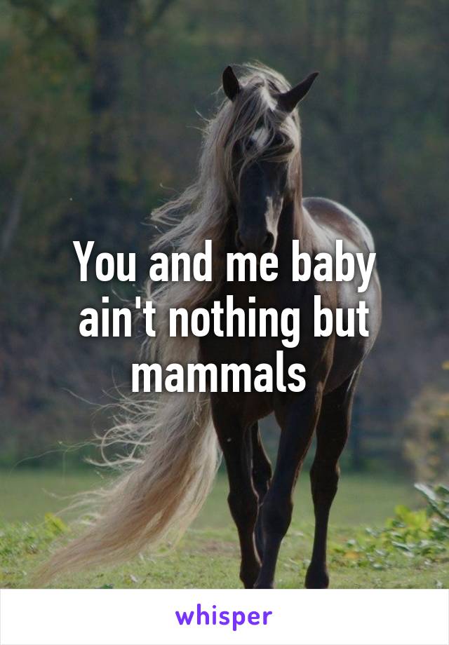 You and me baby ain't nothing but mammals 