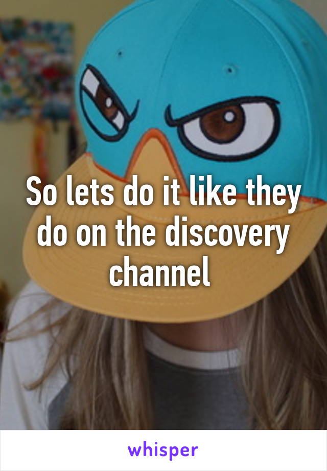 So lets do it like they do on the discovery channel 