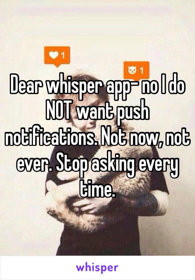 Dear whisper app- no I do NOT want push notifications. Not now, not ever. Stop asking every time. 