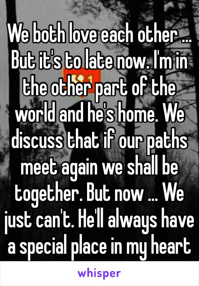 We both love each other ... But it's to late now. I'm in the other part of the world and he's home. We discuss that if our paths meet again we shall be together. But now ... We just can't. He'll always have a special place in my heart  