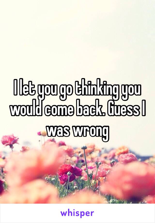 I let you go thinking you would come back. Guess I was wrong