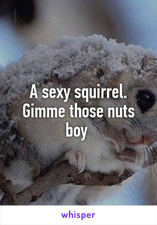 A sexy squirrel. Gimme those nuts boy 