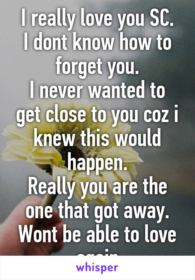 I really love you SC.
I dont know how to forget you.
I never wanted to get close to you coz i knew this would happen.
Really you are the one that got away.
Wont be able to love again