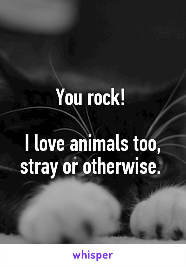 You rock! 

I love animals too, stray or otherwise. 