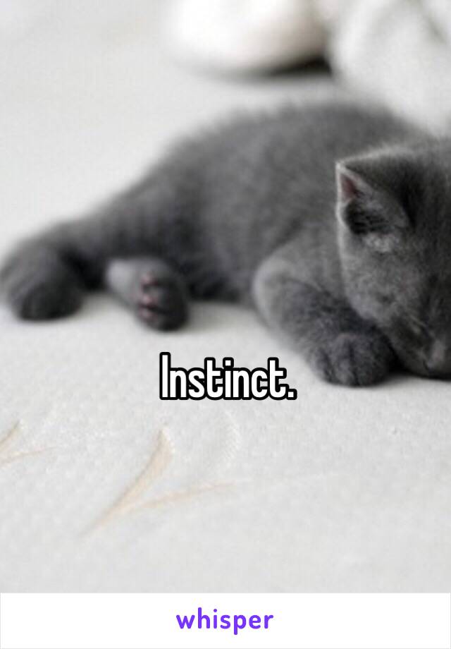 Instinct. 