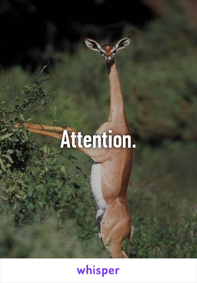 Attention.