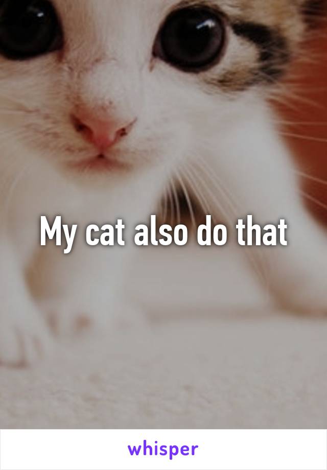 My cat also do that