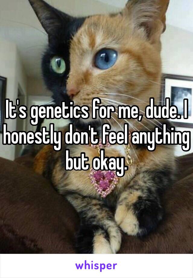 It's genetics for me, dude. I honestly don't feel anything but okay. 