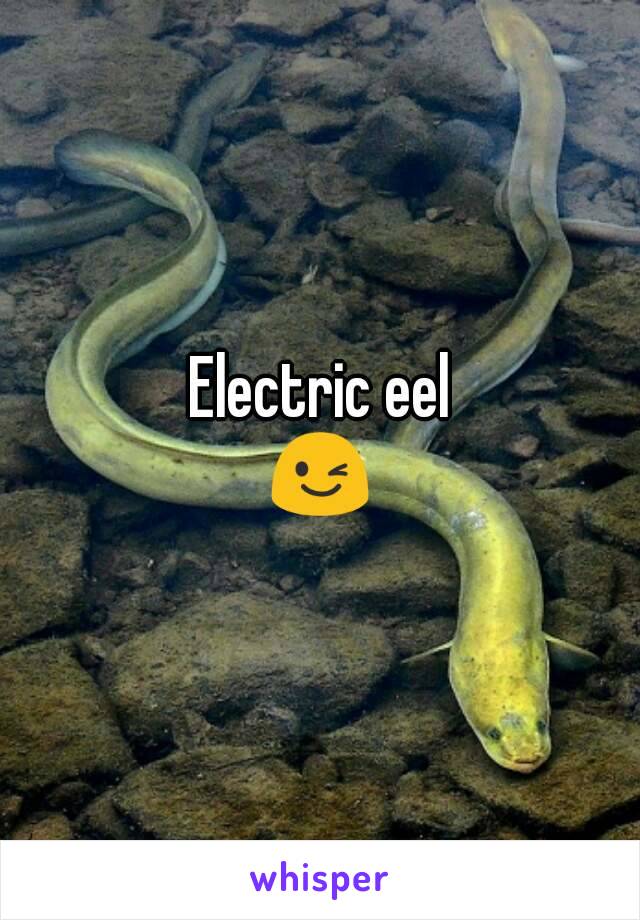 Electric eel
😉