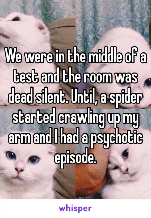 We were in the middle of a test and the room was dead silent. Until, a spider started crawling up my arm and I had a psychotic episode.